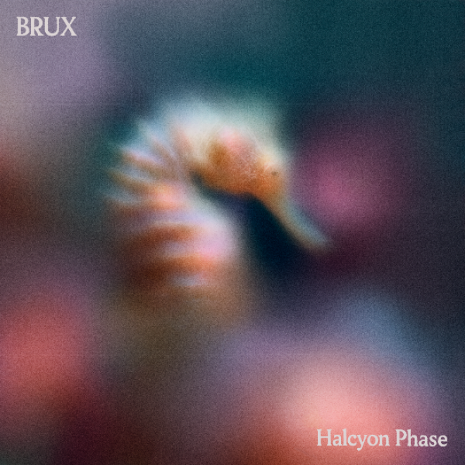 BRUX ventures into transcendent ambient territory with new album ‘Halcyon Phase’